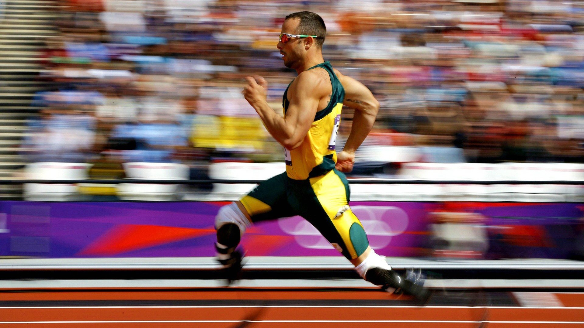 世界杯与篮网,2026体坛的双重突围